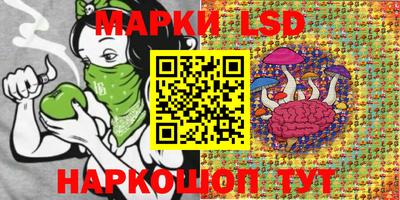 дмт Нальчик