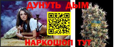 стаф Нарткала