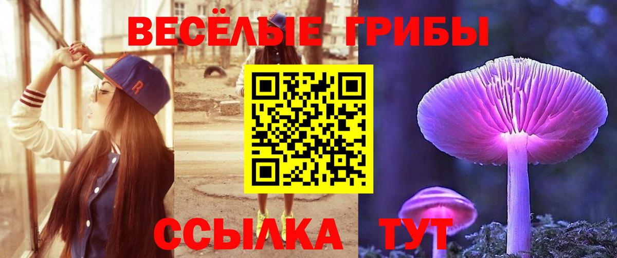 Галлюциногенные грибы ЛСД  Вход с VPN  Феодосия  Галлюциногенные грибы мицелий 