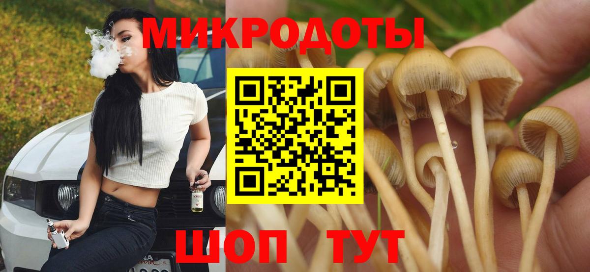Псилоцибиновые грибы Cubensis Феодосия